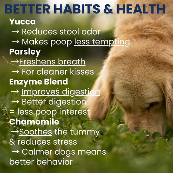 Dog sniffing grass with text about yucca, parsley, enzyme blend, and chamomile for better habits and health.