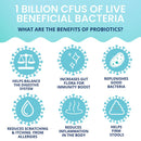 Infographic about the benefits of probiotics with icons and text on a light blue background.