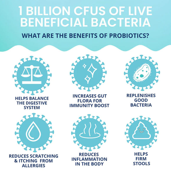 Infographic about the benefits of probiotics with icons and text on a light blue background.