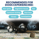Dog paws with a treat and text about product benefits for dogs.