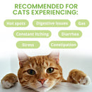 Under the Weather Ready Balance Oral Probiotic Gel for Cats 30 cc - Cat Digestive & Probiotics Supplements 2