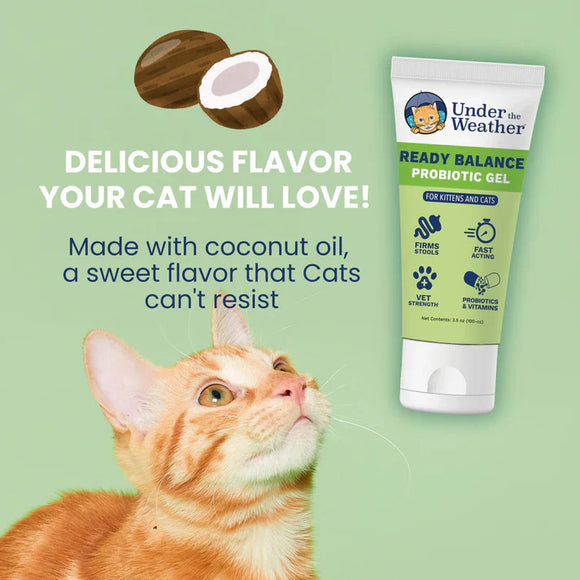 Under the Weather Ready Balance Oral Probiotic Gel for Cats 30 cc - Cat Digestive & Probiotics Supplements 4