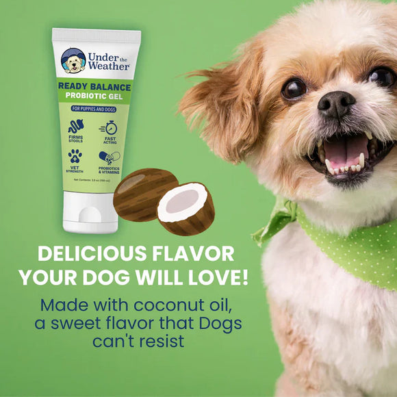 Under the Weather Ready Balance Probiotic Supplement for Dogs 30 cc - Dog Digestive & Probiotics Supplements 4