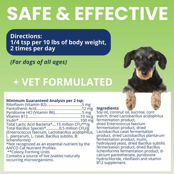 Under the Weather Ready Balance Probiotic Supplement for Dogs 30 cc - Dog Digestive & Probiotics Supplements 5