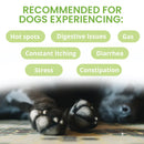 Under the Weather Ready Balance Probiotic Supplement for Dogs 30 cc - Dog Digestive & Probiotics Supplements 2