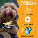 Under the Weather Ready Cal Gel High Calorie Food Supplements for Dogs 100 cc - Pet Vitamins & Supplements 4
