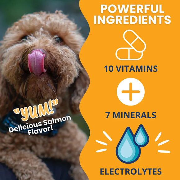 Under the Weather Ready Cal Gel High Calorie Food Supplements for Dogs 100 cc - Pet Vitamins & Supplements 4