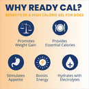 Under the Weather Ready Cal Gel High Calorie Food Supplements for Dogs 100 cc - Pet Vitamins & Supplements 3