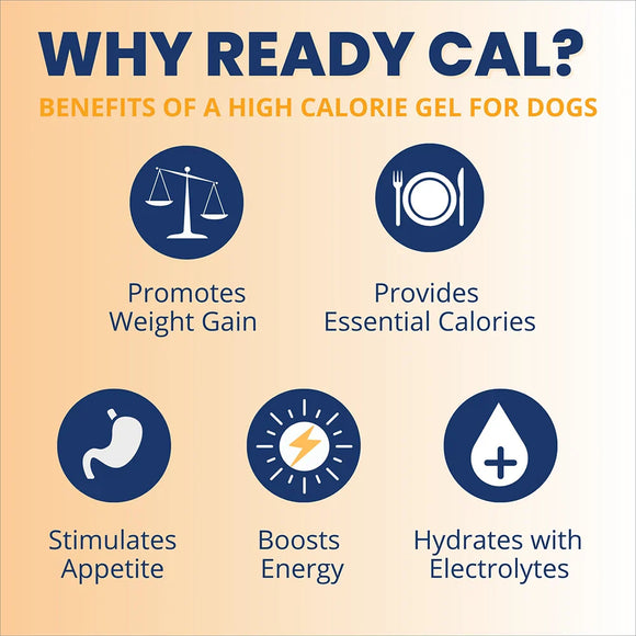 Under the Weather Ready Cal Gel High Calorie Food Supplements for Dogs 100 cc - Pet Vitamins & Supplements 3