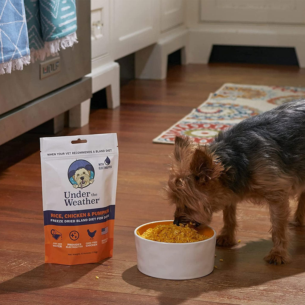 Under the Weather Chicken, Rice & Pumpkin Bland Diet for Dogs