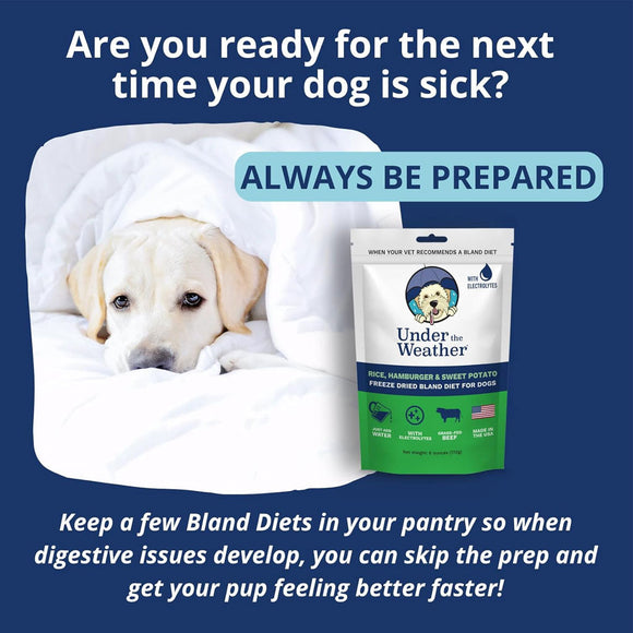 Under the Weather Rice Hamburger & Sweet Potato Freeze Dried Bland Diet for Dogs 6-oz - Freeze-Dried Dog Food 6