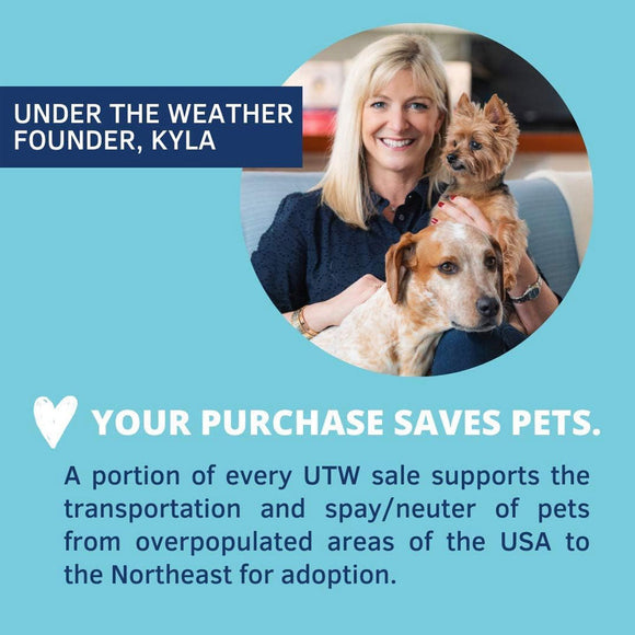 Under the Weather Rice Hamburger & Sweet Potato Freeze Dried Bland Diet for Dogs 6-oz - Freeze-Dried Dog Food 11