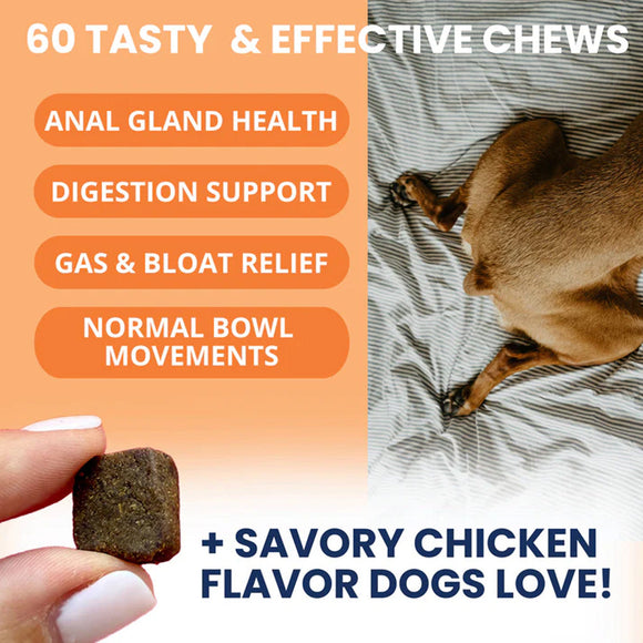 Dog chew product with text highlighting benefits and flavor, alongside a dog lying on a bed.
