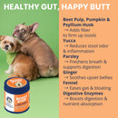 Two dogs sitting next to a container of Scoot Stop product with text about its ingredients and benefits on a green and orange background.