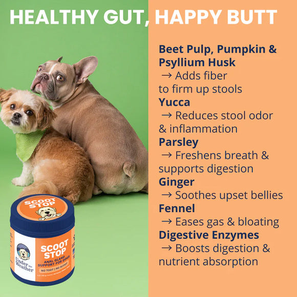 Two dogs sitting next to a container of Scoot Stop product with text about its ingredients and benefits on a green and orange background.