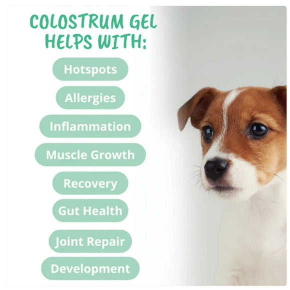 Under the Weather Vital Colostrum Gel for Puppies & Dogs 3.5-oz - Dog Vitamins & Supplements 4