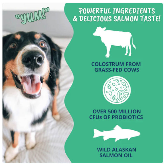 Under the Weather Vital Colostrum Gel for Puppies & Dogs 3.5-oz - Dog Vitamins & Supplements 3