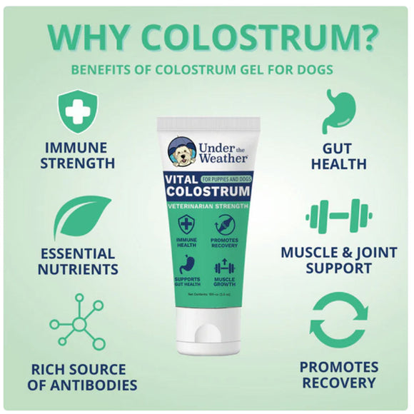 Under the Weather Vital Colostrum Gel for Puppies & Dogs 3.5-oz - Dog Vitamins & Supplements 2