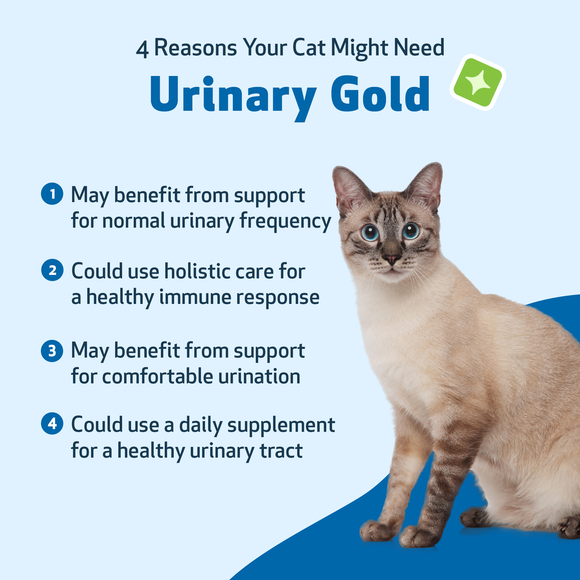 Urinary Gold - for Cat Urinary Tract Health (2 oz) - Cat Vitamins & Supplements 10