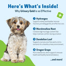Urinary Gold - for Dog Urinary Tract Health - Dog Vitamins & Supplements 10