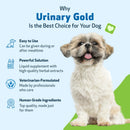 Urinary Gold - for Dog Urinary Tract Health - Dog Vitamins & Supplements 9