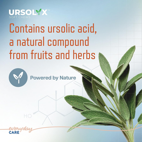 Ursolyx Muscle Care Soft Chews for Dogs - Dog Joint & Hip Supplements 3