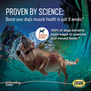 Ursolyx Muscle Care Soft Chews for Dogs - Dog Joint & Hip Supplements 2