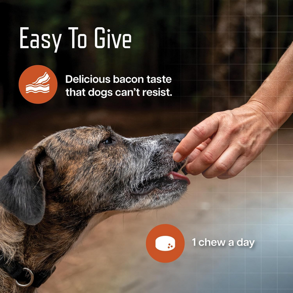 Ursolyx Muscle Care Soft Chews for Dogs - Dog Joint & Hip Supplements 5