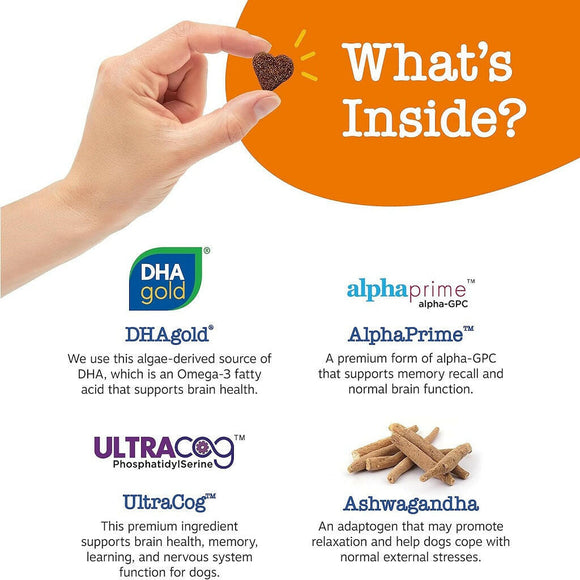 Zesty Paws Senior Advanced Cognition Bites Chicken Flavor Calming Supplement For Dogs (90 ct)