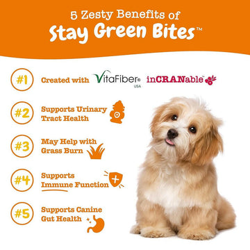 Zesty Paws Stay Green Bites Chicken Flavor Digestive Supplement For Dogs (90 ct)