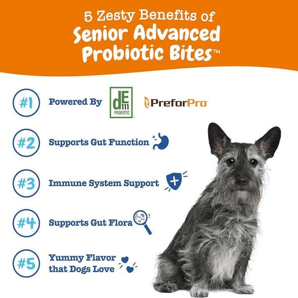 Zesty Paws Senior Advanced Probiotic Bites Chicken Flavor Supplement For Dog (90 ct)