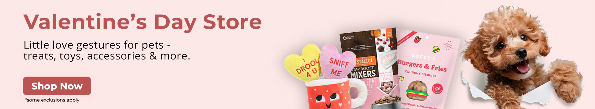 Valentines store 1900x350 home