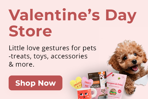Valentines store 600x400 mobile