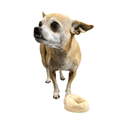 Vanilla Rawhide Donut