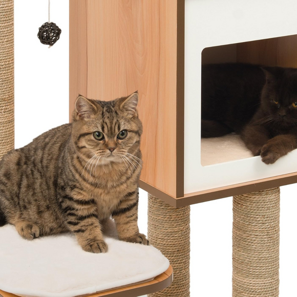 Vesper Walnut Cat Furniture with Very High Base - Cat Furniture Accessories 9