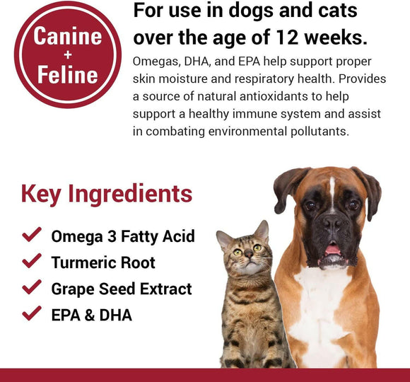 Vet Classics Allergy Skin & Coat Soft Chews for Dogs & Cats (90 chews) - Dog Supplements & Vitamins 5