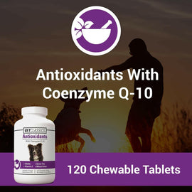 Vet Classics Antioxidants With Coenzyme Q-10 for Dogs (120 chewable tablets) - Dog Supplements & Vitamins 2