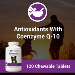 Vet Classics Antioxidants With Coenzyme Q-10 for Dogs (120 chewable tablets) - Dog Supplements & Vitamins 2