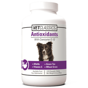 Vet Classics Antioxidants With Coenzyme Q-10 for Dogs (120 chewable tablets) - Dog Supplements & Vitamins 1