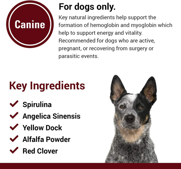 Vet Classics Blood & Energy for Dogs (120 Chew Tabs) - 5
