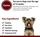 Vet Classics Cardiovascular Support for Dogs (120 Chew Tabs) - 5