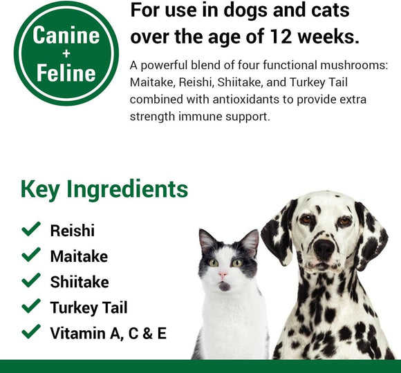 Vet Classics CAS Options for Dogs and Cats (120 Soft Chews) - 4