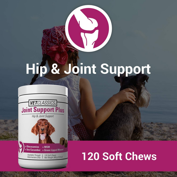 Vet Classics Joint Support Plus for Dogs (120 Soft Chews) - 2