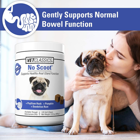 Vet Classics No Scoot for Dogs Soft Chews - 2