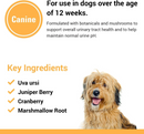 Vet Classics Urinary Tract Support for Dogs (120 Chew Tabs) - 6