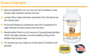 Vet Classics Urinary Tract Support for Dogs (120 Chew Tabs) - 5