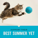 Vet IQ Hip & Joint Treats for Cats (30 Day Supply) - Cat Treats 7