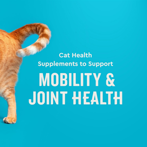 Vet IQ Hip & Joint Treats for Cats (30 Day Supply) - Cat Treats 2