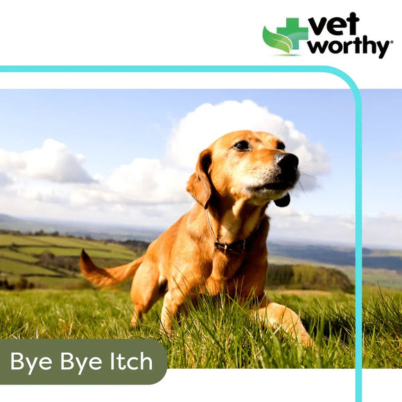 Vet Worthy Anti-Itch Spray for Dogs 8 oz - Dog Immune & Allergy Supplements 4