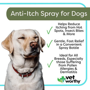 Vet Worthy Anti-Itch Spray for Dogs 8 oz - Dog Immune & Allergy Supplements 2